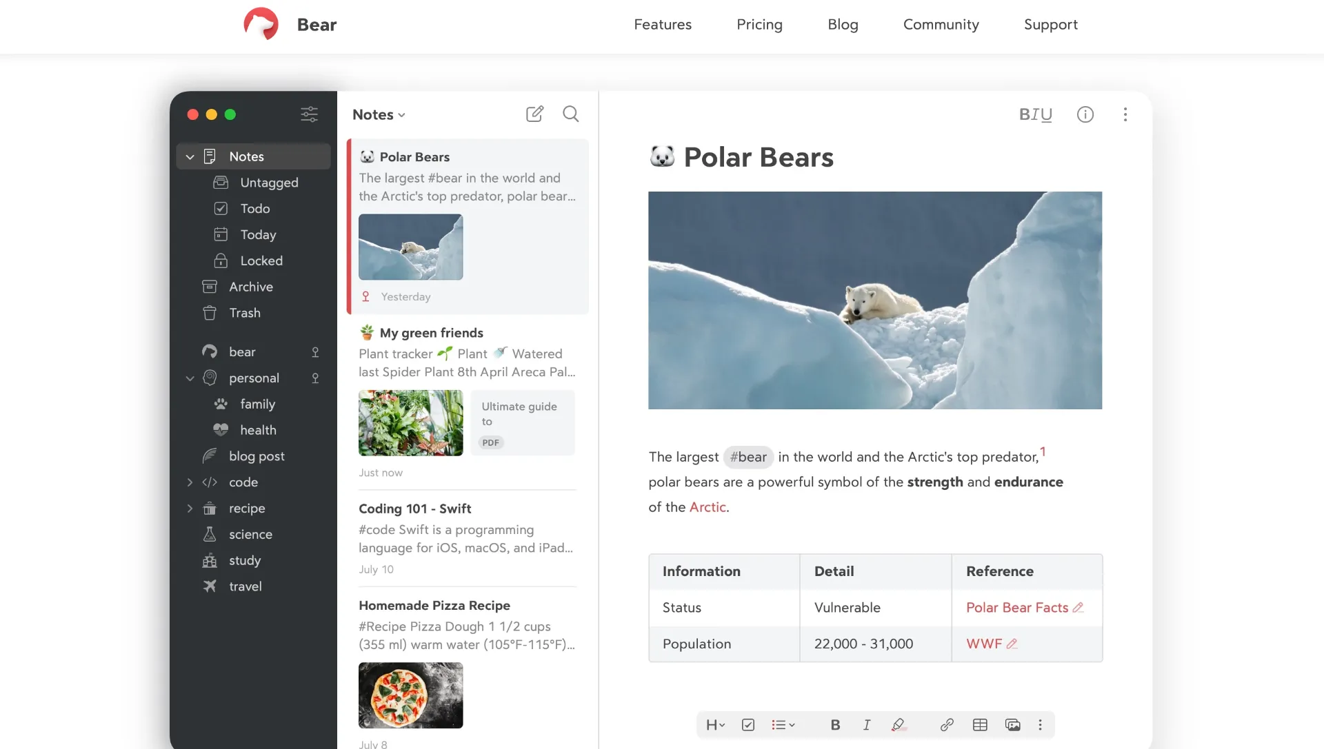 Bear screenshot